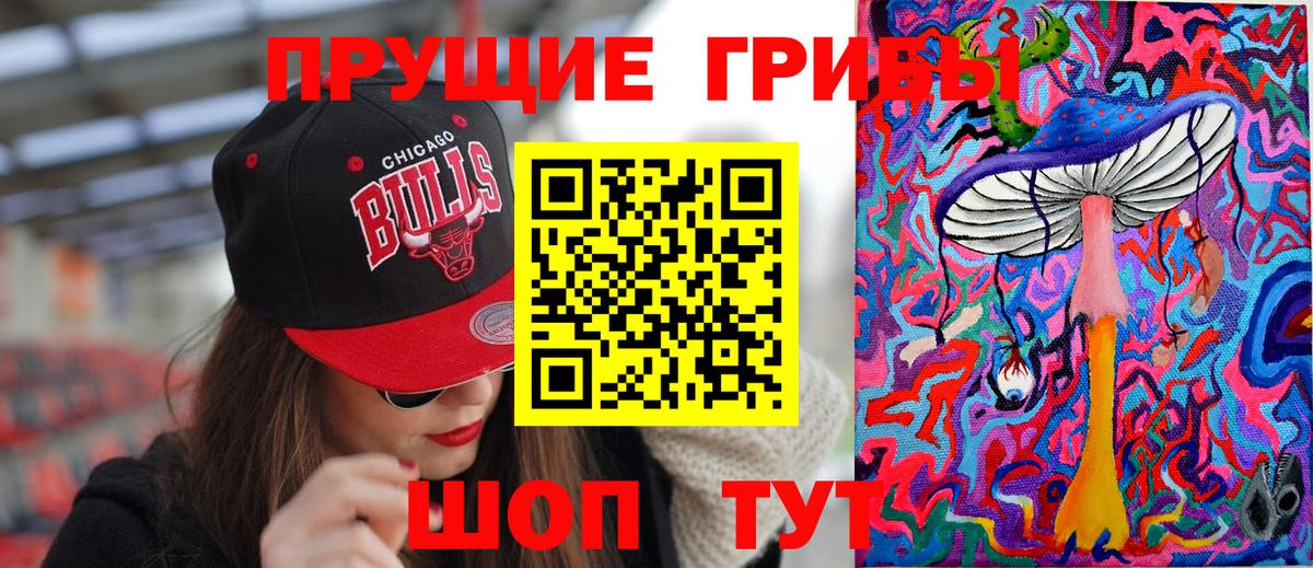 Псилоцибиновые грибы мухоморы Губкинский